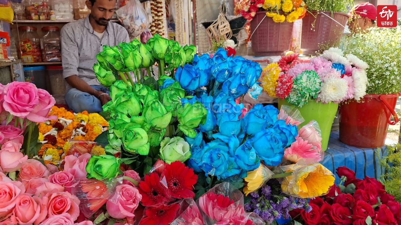 Colourful Rose Selling on Valentines Day in Hooghly