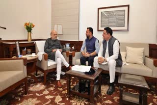 Himachal BJP MLAs meet Amit Shah