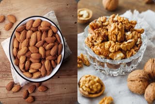 WALNUTS VS ALMONDS