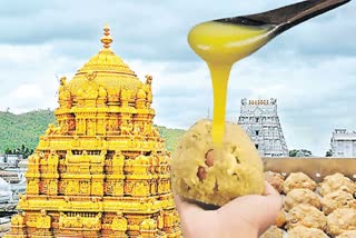 SIT Tirumala Laddu