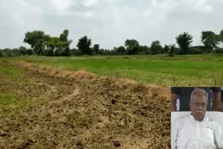 Theft in farm of Bhupesh Baghel