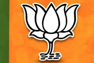 Getting a BJP ticket for the next year's Assembly election in Assam will not be a cakewalk for aspirants