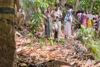 പുലി ചത്ത നിലയിൽ  മുണ്ടക്കയം പുലിയുടെ ജഡം  DEAD LEOPARD IN MUNDAKKAYAM  MUNDAKKAYAM KOOTTIKKAL LEOPARD