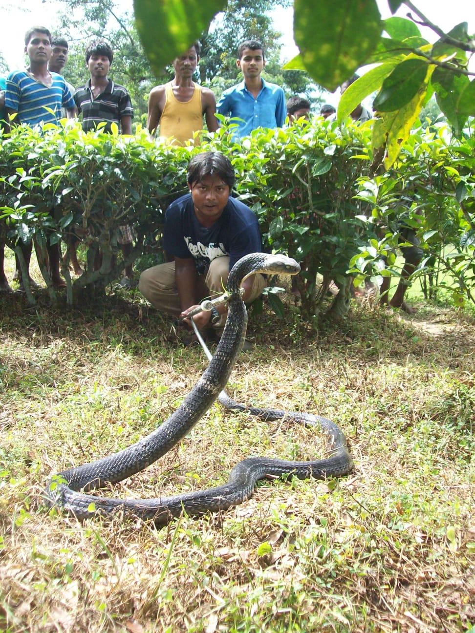 Nature lover Dulu Bora