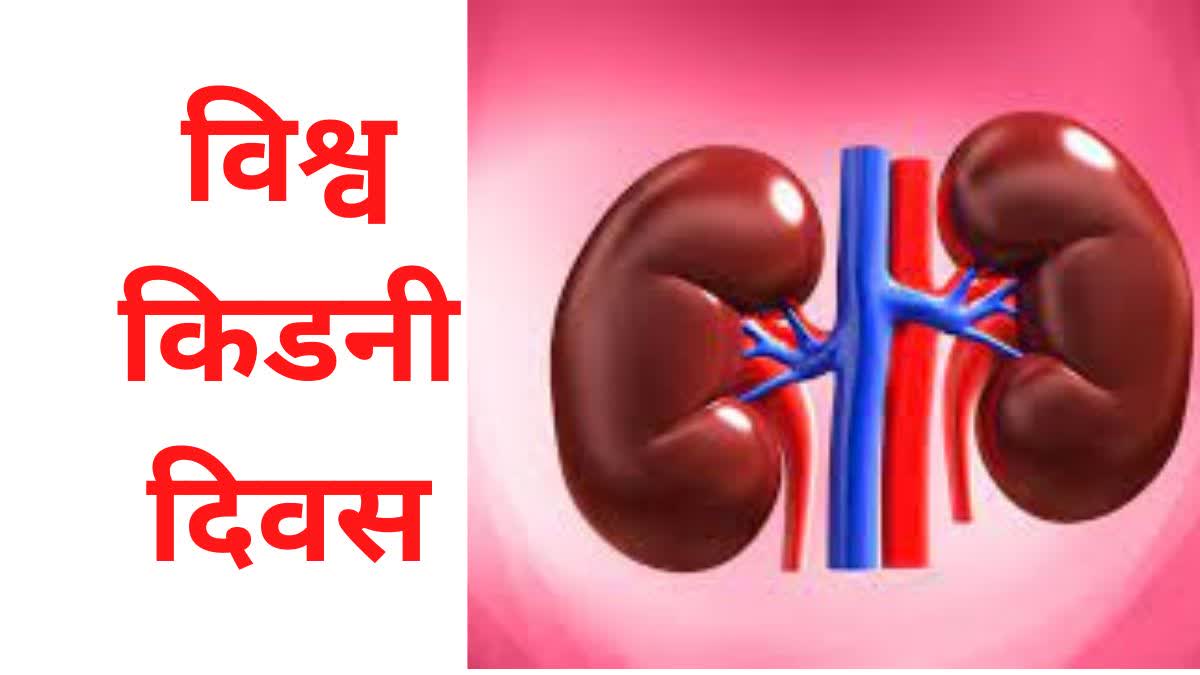 World Kidney Day 2024