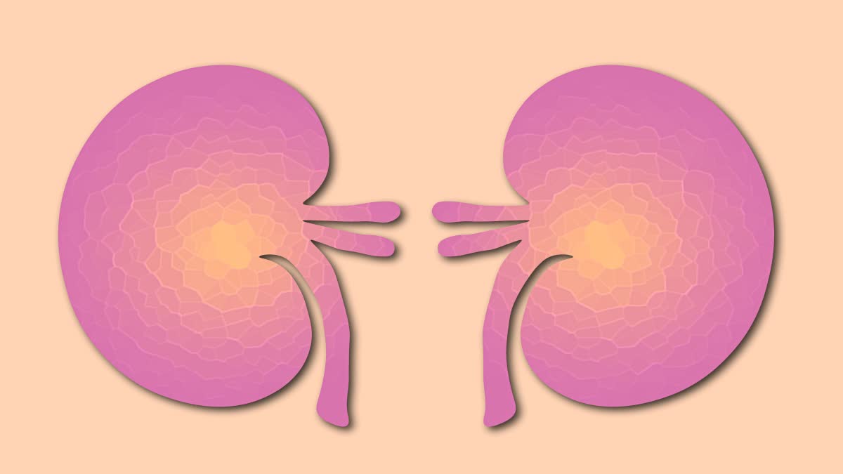 World Kidney Day News