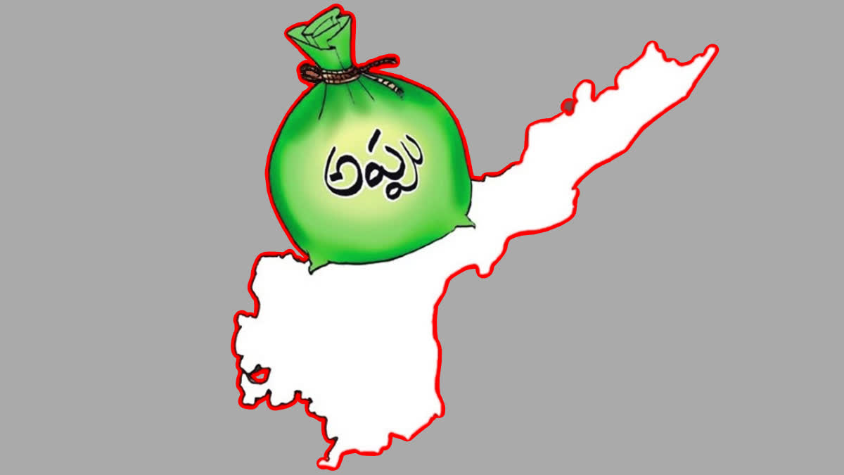 ycp_govt_loans