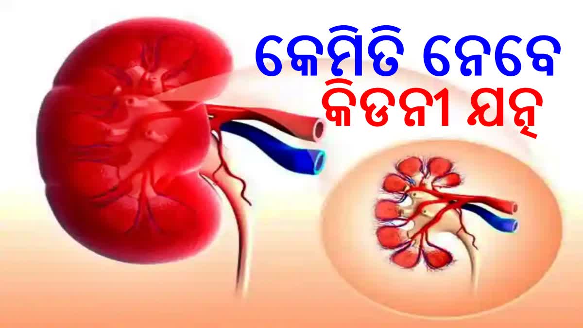 World Kidney Day