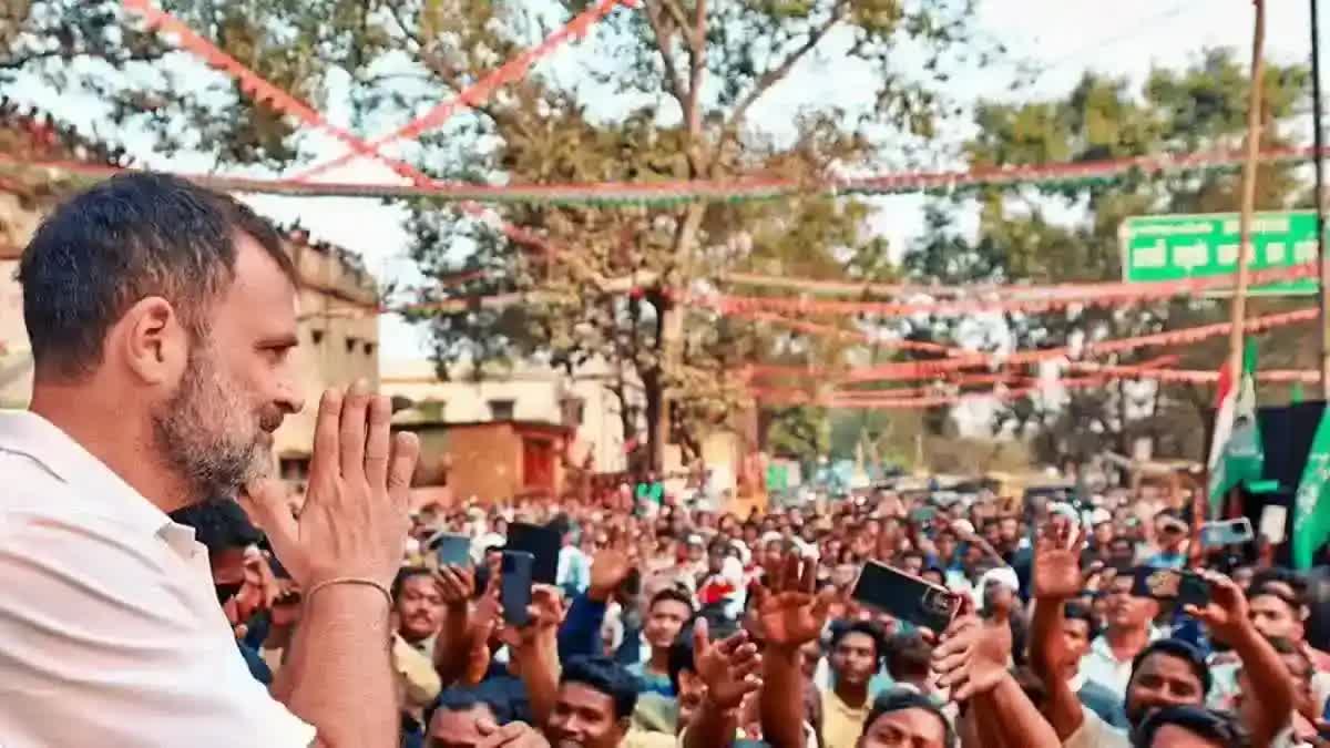 Election campaign  Wayanad constituency  Rahul gandhi  Congress