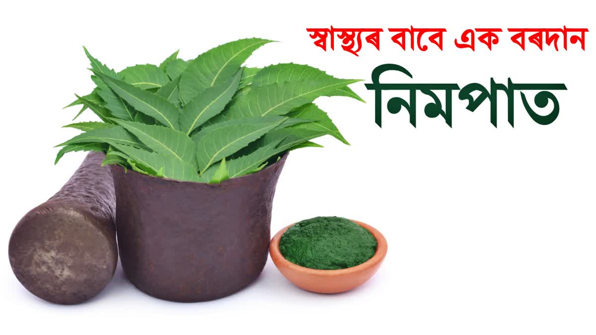 Benefits of neem leaves