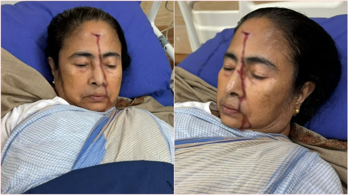 ممتا بنرجی، گھر میں گرنے سے زخمی، اسپتال میں زیرعلاج