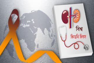 World Kidney Day 2024 News