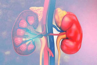 high blood pressure threatening kidney health
