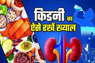 kidneys healthy foods