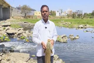 Pollution In Indrayani River
