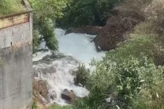 Water Level Of Ponmudi Reduced  Anayirangal Dam Opened  Anayirangal Dam In Idukki  Dams In Idukki