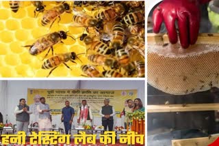 Union Agriculture Minister Arjun Munda laid foundation stone of Honey testing Lab in Ranchi