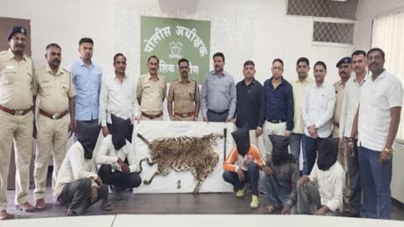 Leopard Skin Smuggling: बाबाला 'बाबागिरी' करण्यासाठी बिबट्याची कातड्याची विकणारी टोळी गजाआड