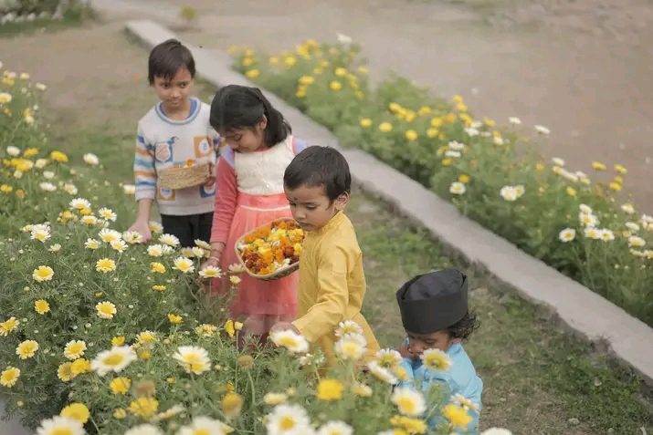 Phool Dei