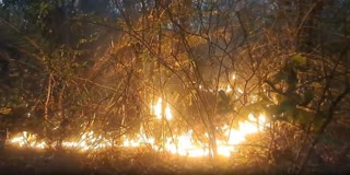 Fire Breaks Out in Various Areas of Angul Forest Division