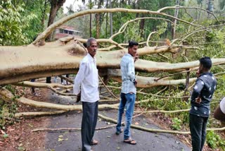 ಮಳೆ