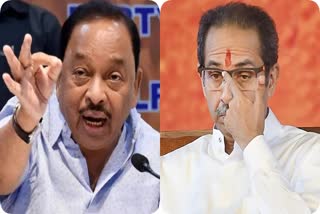 Narayan Rane On Uddhav Thackeray