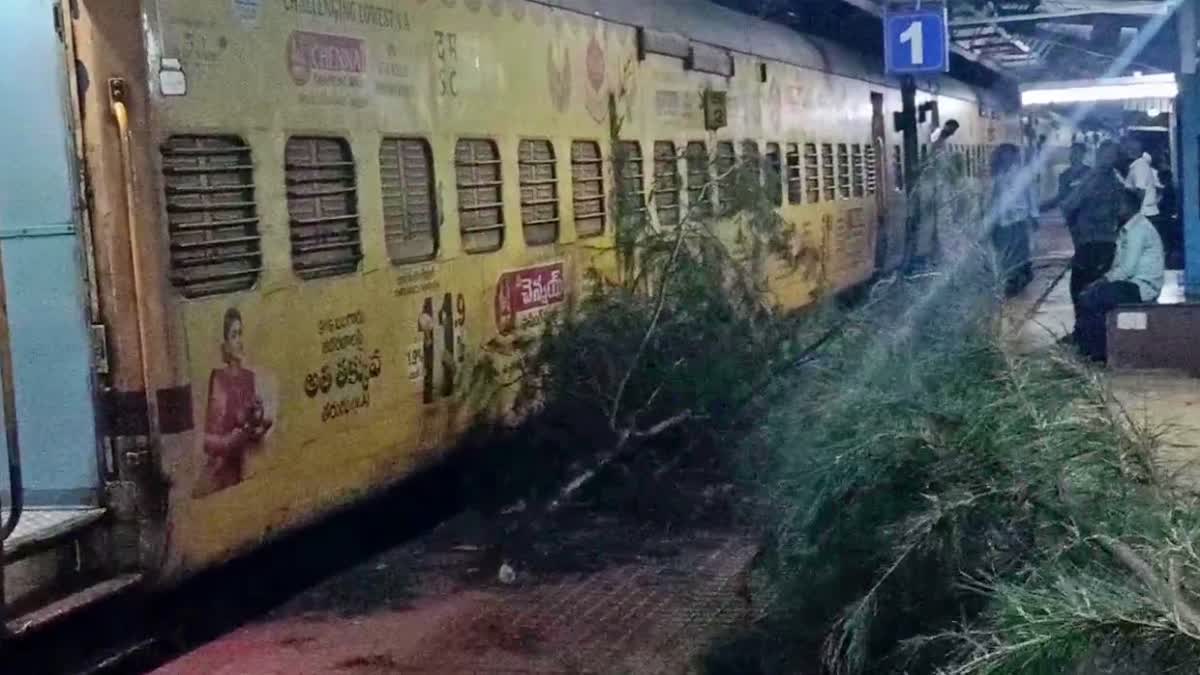 BIG TREE FELL ON TRAIN