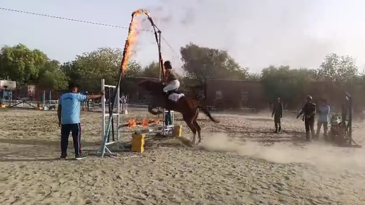 SWARNIKA HORSE RIDING