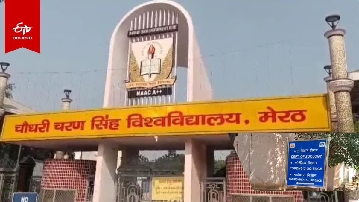 चौधरी चरण सिंह विश्वविद्यालय