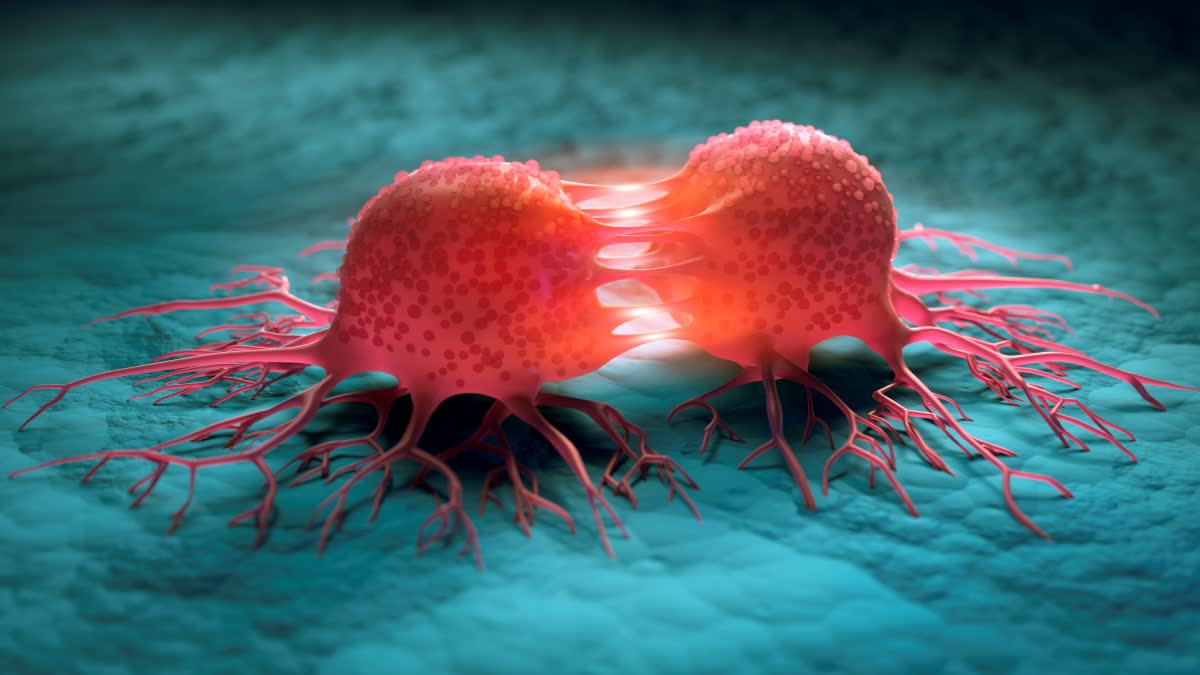 Cancer_Symptoms_in_Your_Body