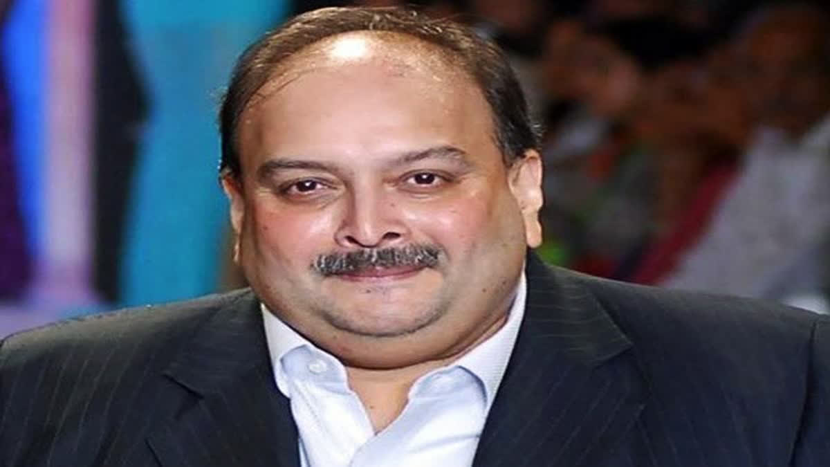 میہول چوکسی کو بیلجیم میں حراست میں لیا