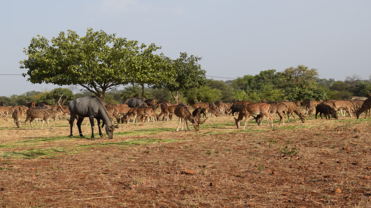 Conservation Reserves In MP