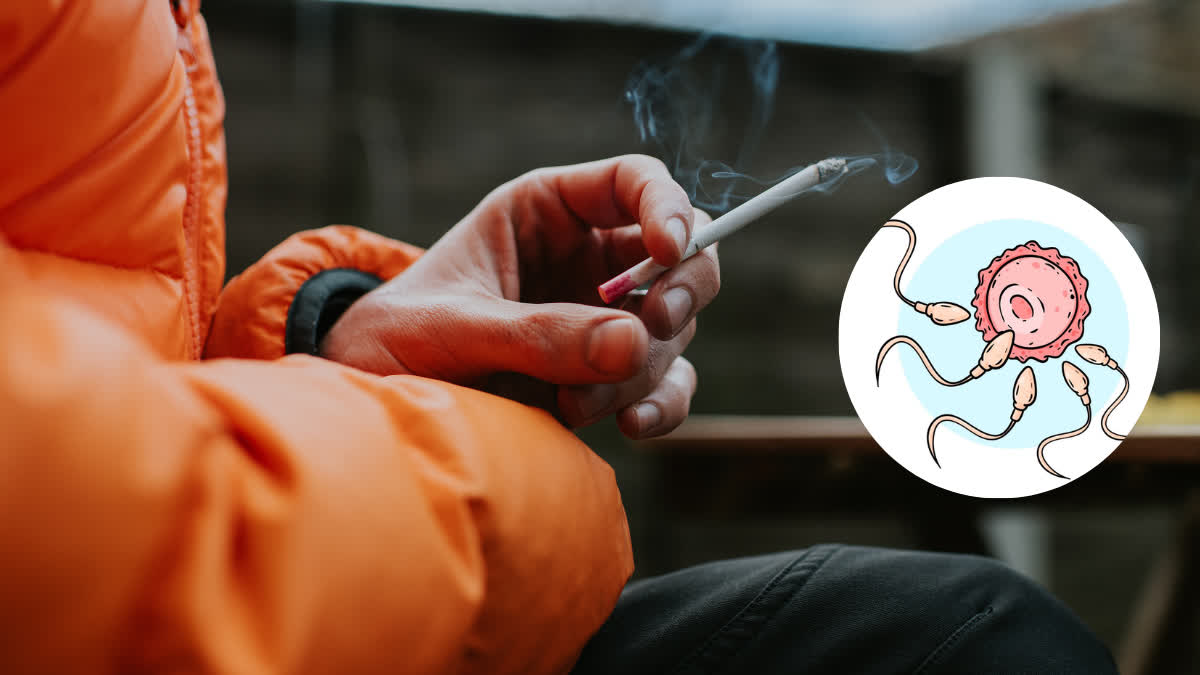 Cigarette smokers should be careful, know how it can harm fertility