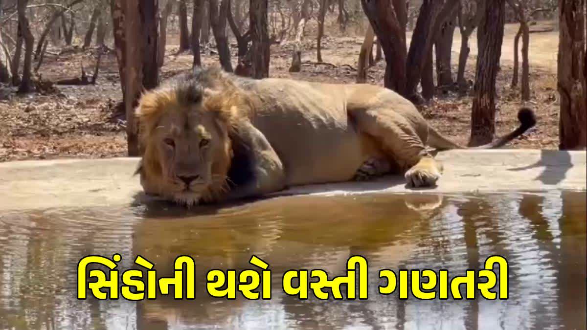 સિંહોની થશે વસ્તી ગણતરી