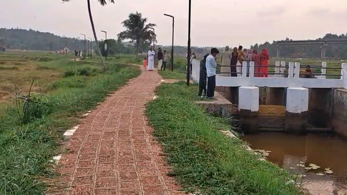 KANAMPUZHA RIVER CLEANING  clean water  RIVER CLEANING KERALA  river