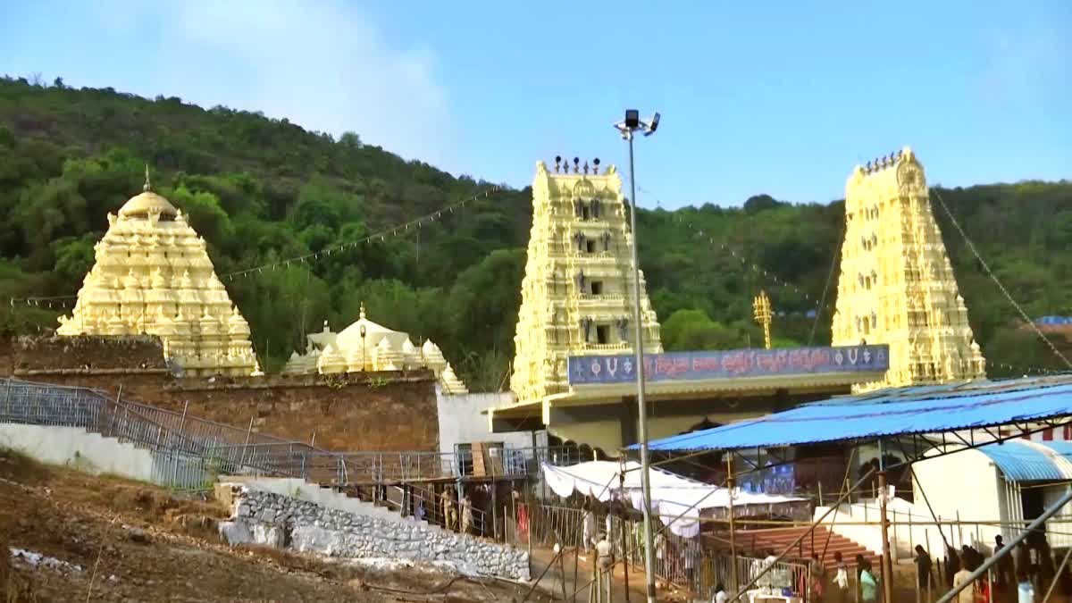 Simhadri Appanna Chandanotsavam Preparation Works Doing Fastly
