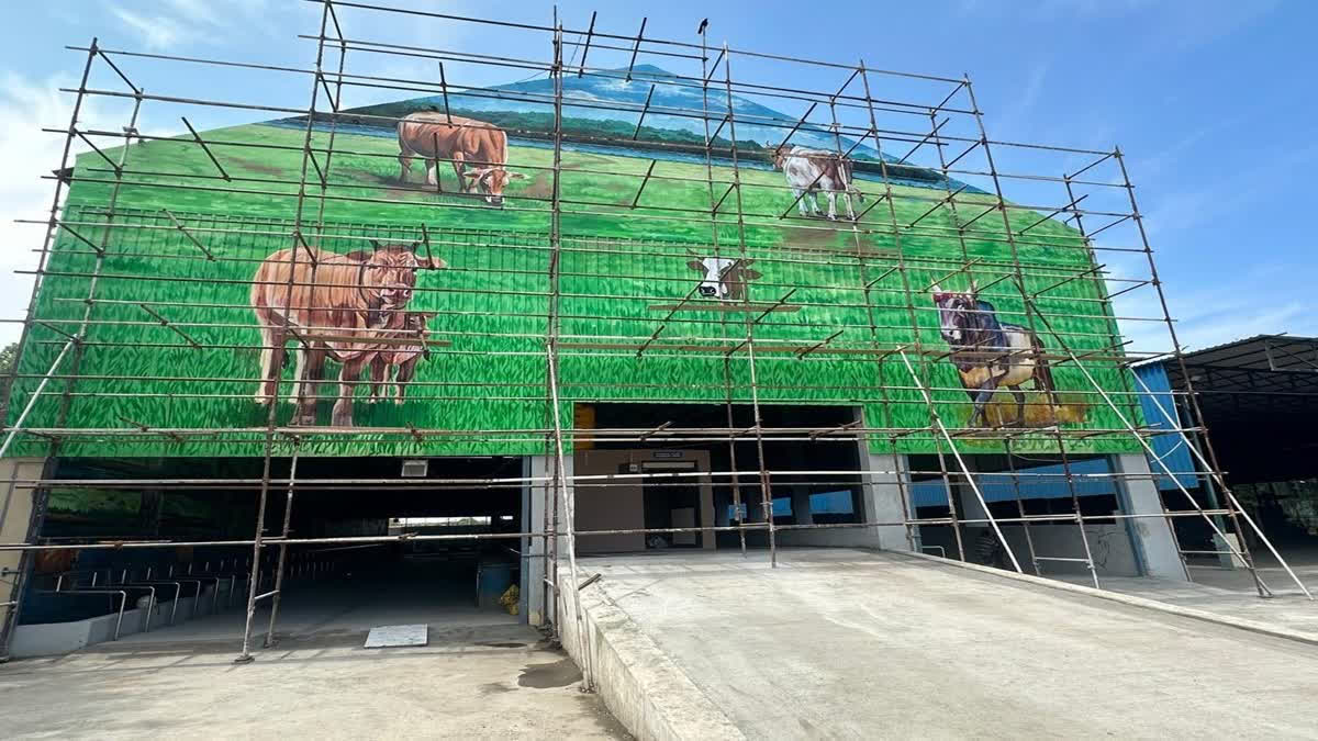 STRAY CATTLE  CATTLE SHEDS BY CHENNAI CORPORATION  CATTLE POSE RISK ON CHENNAI ROADS  കന്നുകാലികൾക്കായി ഷെൽട്ടർ ഹോം