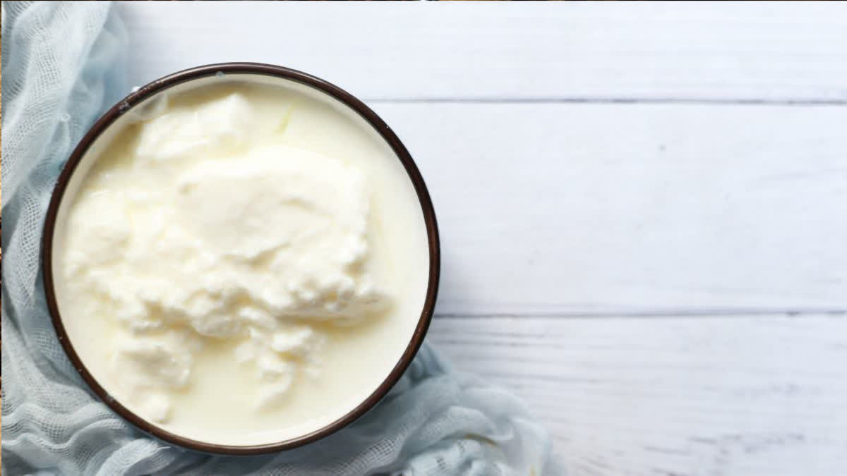 Do you also apply curd to your hair? So know the benefits and disadvantages