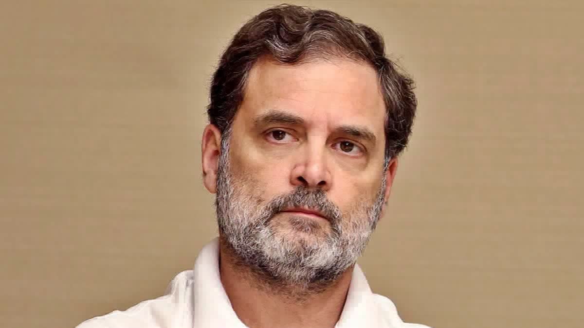 RAHUL GANDHI  INDIAN NATIONAL CONGRESS  SOCIAL JUSTICE CONCEPT OF CONGRESS  CAST CENSUS
