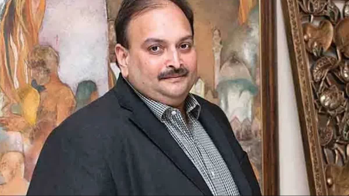 WHO IS MEHUL CHOKSI