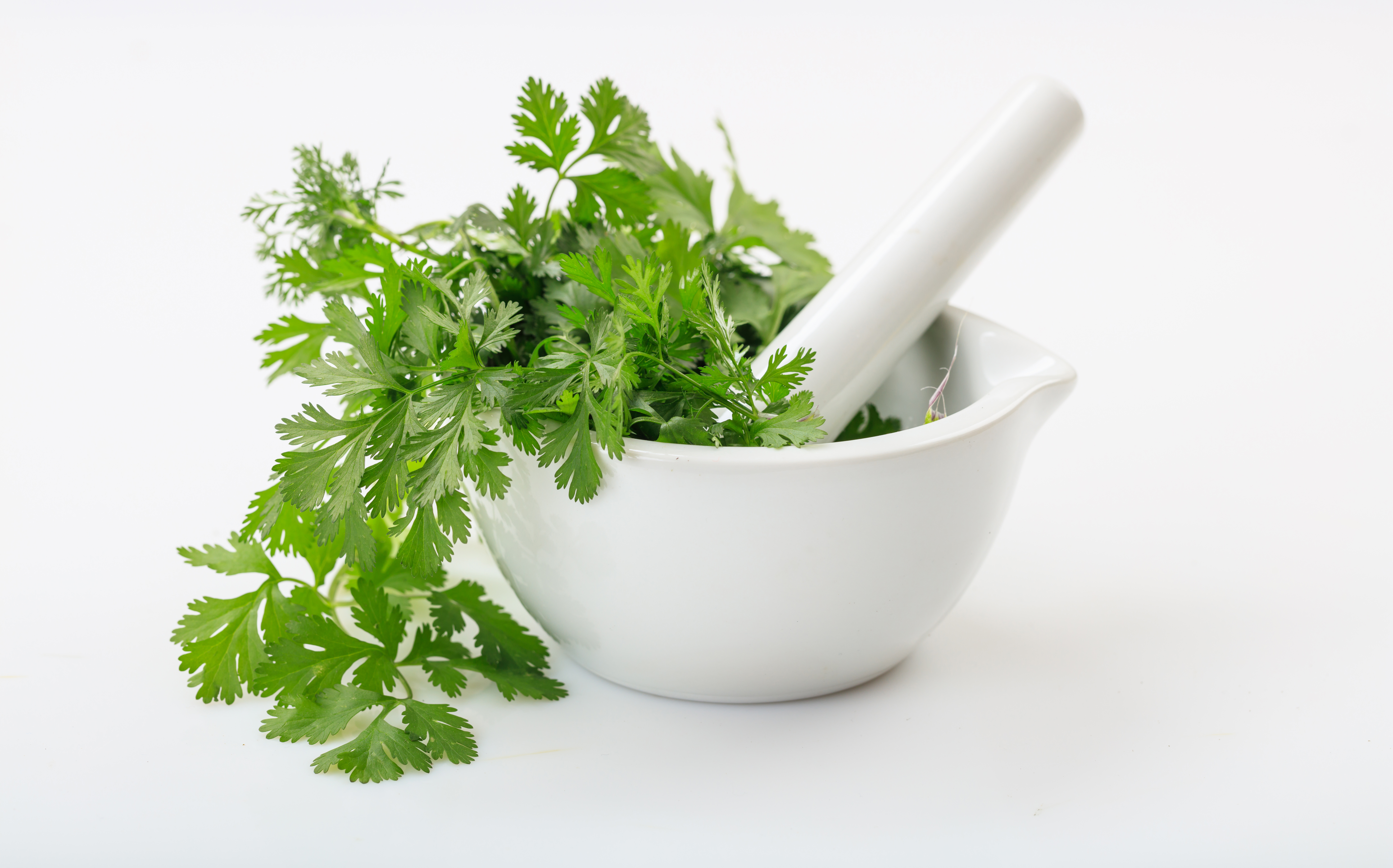 Should pregnant women drink coriander juice or not? Know the health benefits of green coriander