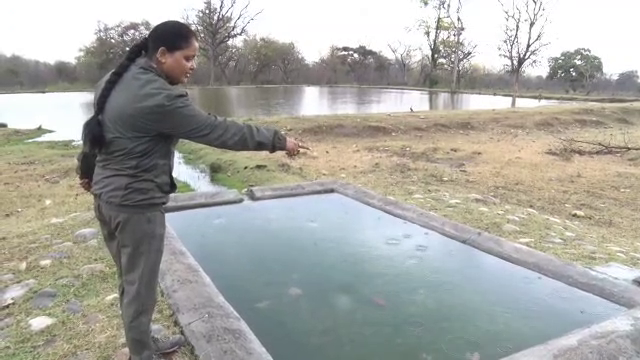 Water Holes For Wild Animals