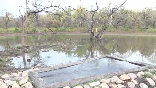 Water Holes For Wild Animals