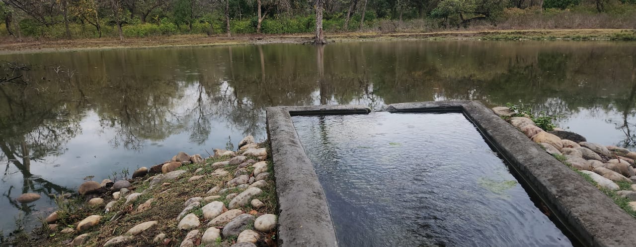 Water Holes For Wild Animals