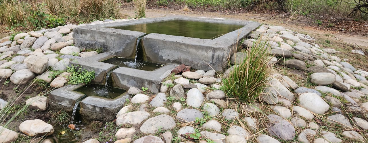 Water Holes For Wild Animals