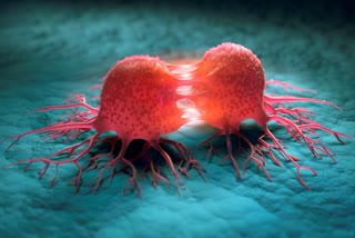 Cancer_Symptoms_in_Your_Body