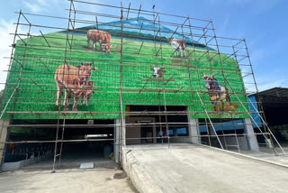 STRAY CATTLE  CATTLE SHEDS BY CHENNAI CORPORATION  CATTLE POSE RISK ON CHENNAI ROADS  കന്നുകാലികൾക്കായി ഷെൽട്ടർ ഹോം