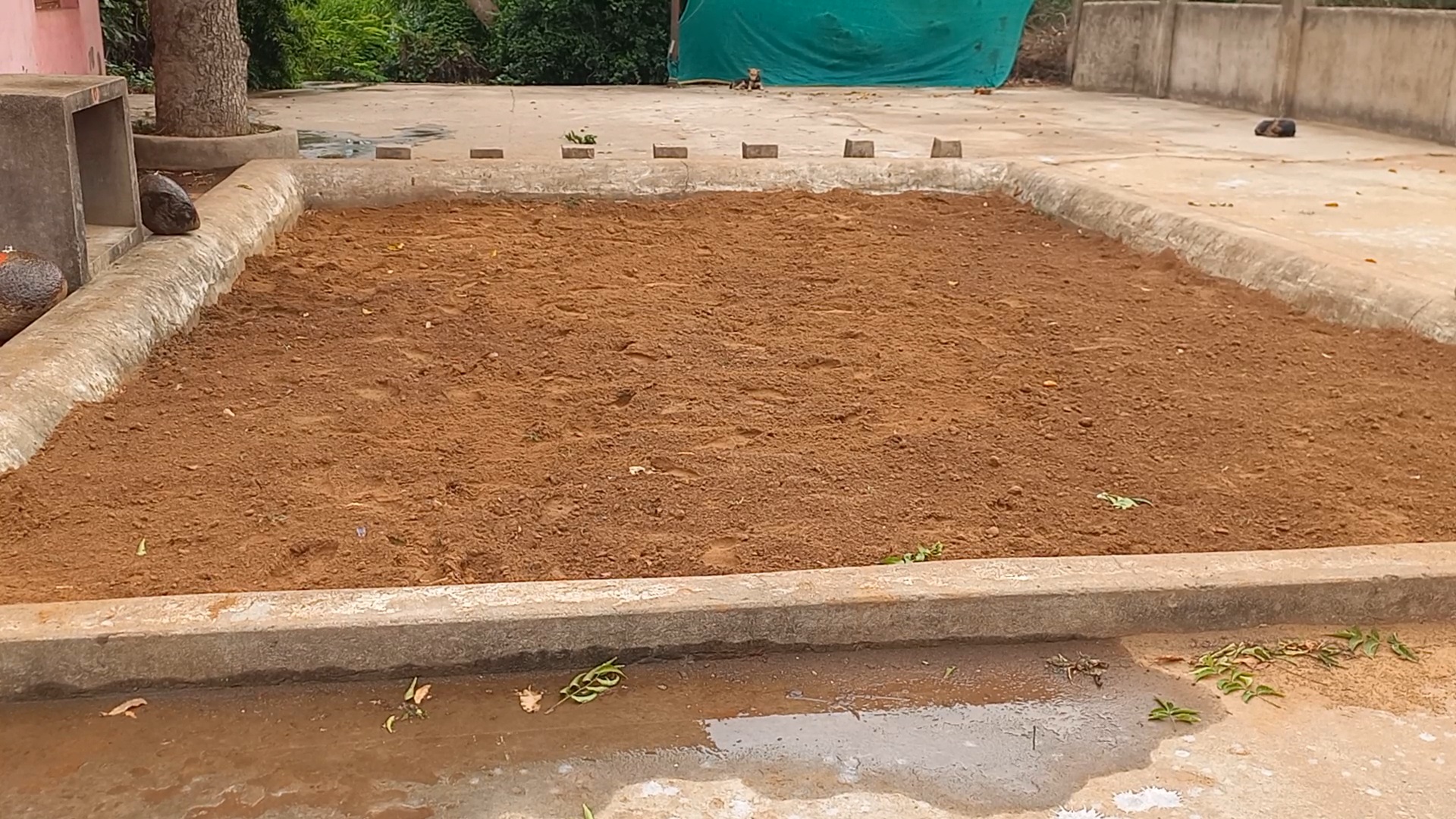 କୁସ୍ତି କ୍ରୀଡ଼ା