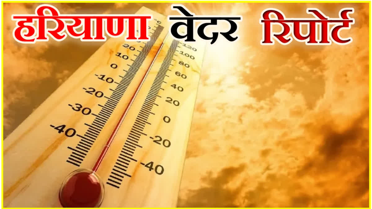 Haryana Heat Wave Alert