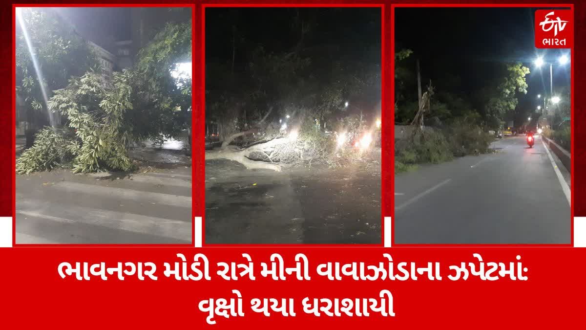 ભાવનગરમાં મોડી રાત્રે મીની વાવાઝોડું ફૂંકાયું, વૃક્ષો પડતા અનેક રસ્તાઓ થયા બંધ